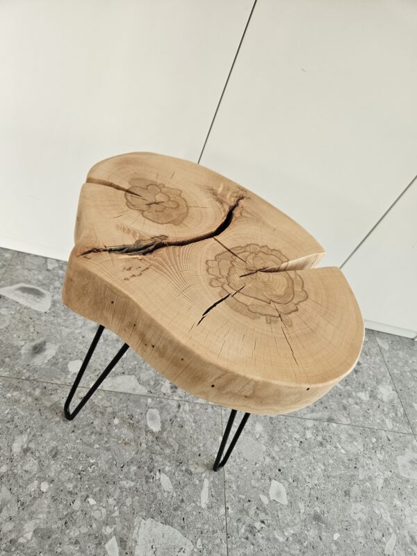 Miza bukev - Image 3